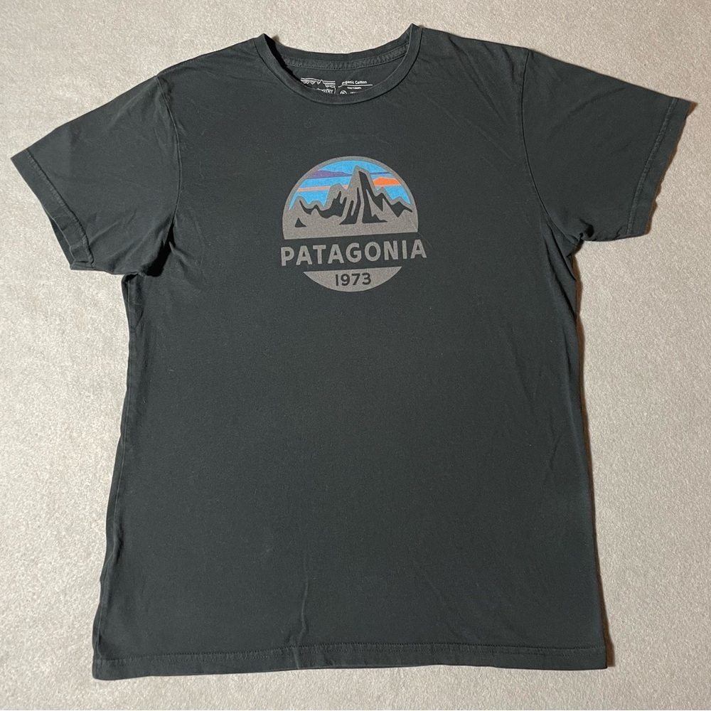 Patagonia 1973 Logo Men’s T-Shirt Medium Black Organic Cotton Short Sleeve Tee - Picture 1 of 6